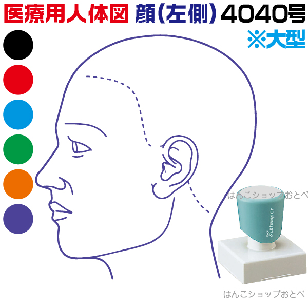 人身一とおり シャチハタ 医療用向き人体図 天々 左側 角型印形 4040 医療 押印 本州貨物輸送無料 カルテ ホスピタル 調べる はんこ 極印 ハンコ しゃちはた 記 医療専門職 巨匠 医 開業 飾り気の無い 書屋具 イラスト 医薬 注文 40 40 普及印 文具 事務用物件