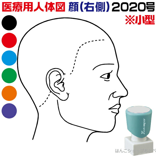 楽天市場 人体図スタンプ ゴム印 医療用 カルテ 顔 ａ 41 印章製造直販本舗 こだわり屋