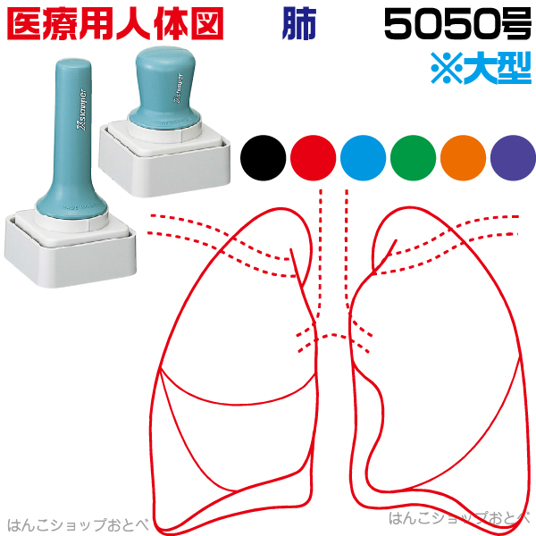 人体図 シャチハタ 医療用人体図 肺 特角50号 長柄 短柄 角型印 5050 医療 スタンプ 本州送料無料 カルテ イラスト 用 ゴム印 問診票 整体 病院 医院 整体院 検査 レントゲン はんこ 印鑑 ハンコ 書類 先生 医者 50 50 浸透印 文具