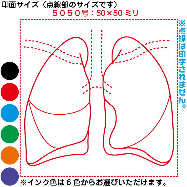 売れ筋商品 人体図 シャチハタ 医療用人体図 肺 特角50号 長柄 短柄 角型印 5050 医療 スタンプ 本州送料無料 カルテ イラスト 用 ゴム印 問診票 整体 病院 医院 整体院 検査 レントゲン はんこ 印鑑 ハンコ 書類 先生 医者 50 50 浸透印