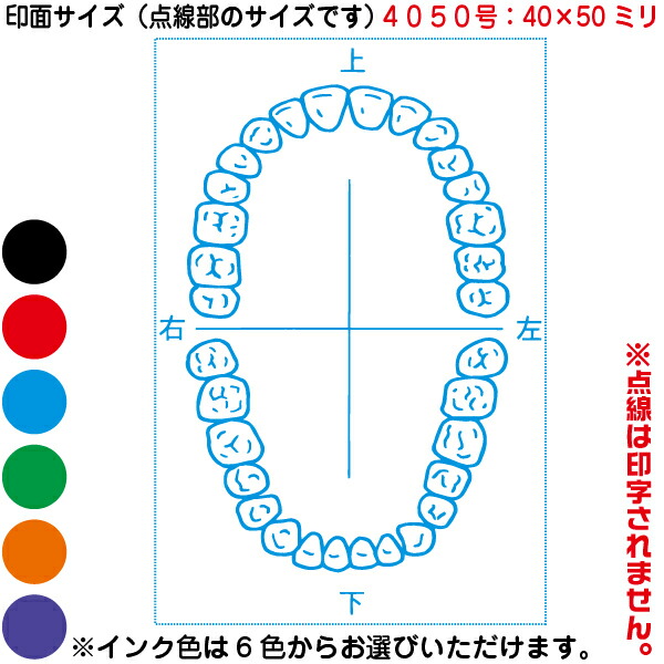 人体図 シャチハタ 医療用人体図 歯1 角型印 4050号 医療 スタンプ 本州送料無料 カルテ イラスト 用 ゴム印 問診票 整体 病院 医院 整体院 検査 レントゲン はんこ 印鑑 ハンコ 書類 先生 医者 40 50 浸透印 文具 事務用品 高品質