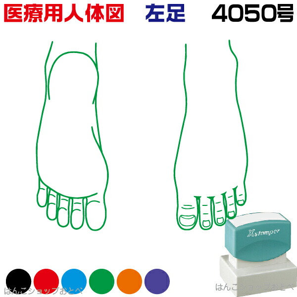 楽天市場 人体図 シャチハタ 医療用人体図 右足 角型印 4050 医療 スタンプ 本州送料無料 カルテ 病院 検査 はんこ 印鑑 ハンコ しゃちはた 書類 医療専門 先生 医者 開業 簡単 文房具 イラスト 薬 オーダー 40 50 浸透印 文具 事務用品