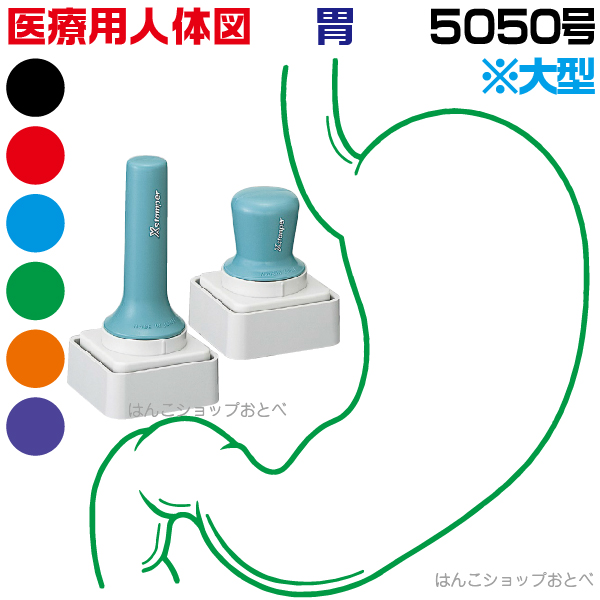 人体図 医者 シャチハタ 医療用人体図 胃 特角50号 長柄 短柄 文房具 角型印 5050 簡単 医療 スタンプ 本州送料無料 カルテ 病院 検査 はんこ 印鑑 ハンコ しゃちはた 書類 医療専門 先生 医者 開業 簡単 文房具 イラスト 薬