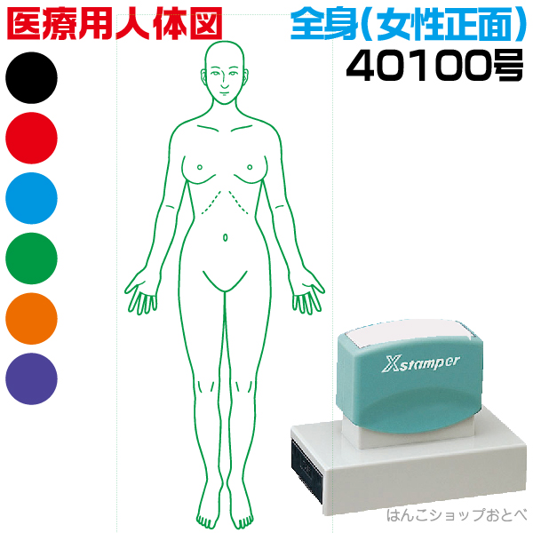 印鑑 本州送料無料 カルテ オーダー 人体図 はんこ 全身 シャチハタ 検査 簡単 しゃちはた すたんぷ 文房具 病院 角型印 書類 女性正面 オーダー 先生 文房具 医療用人体図 医者 ハンコ 号 医療専門 イラスト 人体図 開業 薬