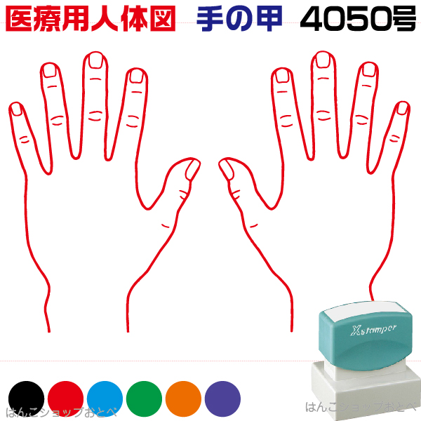 人体図 シャチハタ 医療用人体図 手の甲 角型印 4050 医療 スタンプ 本州送料無料 カルテ イラスト 用 ゴム印 問診票 整体 病院 医院 整体院 検査 レントゲン はんこ 印鑑 ハンコ 書類 先生 医者 40 50 浸透印 文具 事務用品 決算特価商品