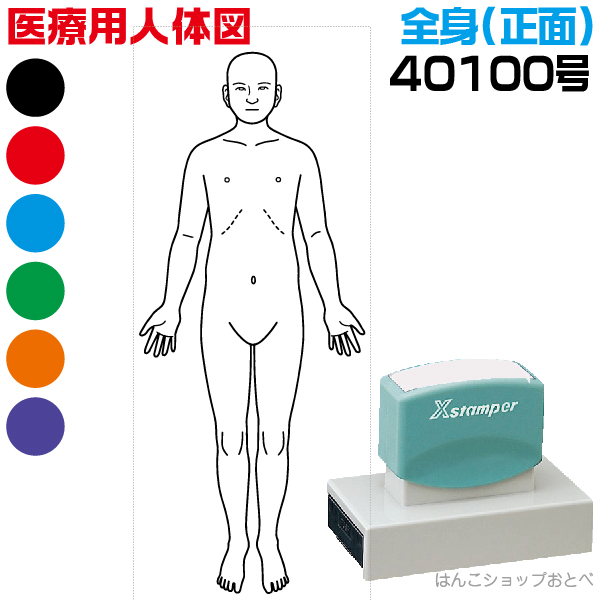 楽天市場 人体図 シャチハタ 医療用人体図 全身 正面 角型印 40100号 医療 スタンプ 本州送料無料 カルテ 病院 検査 はんこ 印鑑 ハンコ しゃちはた 書類 医療専門 先生 医者 開業 簡単 文房具 イラスト 薬 オーダー 40 100 浸透印 文具 事務用品 はんこショップ