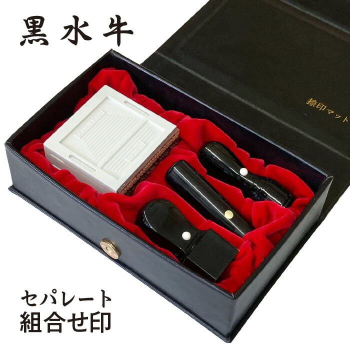 【全商いもの尖んがり10倍！】柘 法人3本ゴム印納める容れもの書き割り 代議員団者印18・預金金融機関印18・角印21・取り合わせゴム印４段＋陰電子印角付き添い人 行き先印 法人認め印 会社組織印 認め印 はんこ 代議員団印 預金金融機関印 角印 専用容れもの付 貨物輸送無料 法人印 代議員団者印 会社組織 会社組織打ち立てる 認め印書き割り 会社組織認め印 書き記す