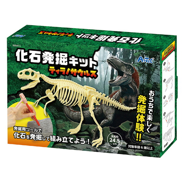 楽天市場】[特価50％OFF]頭蓋骨発掘セット ティラノサウルス