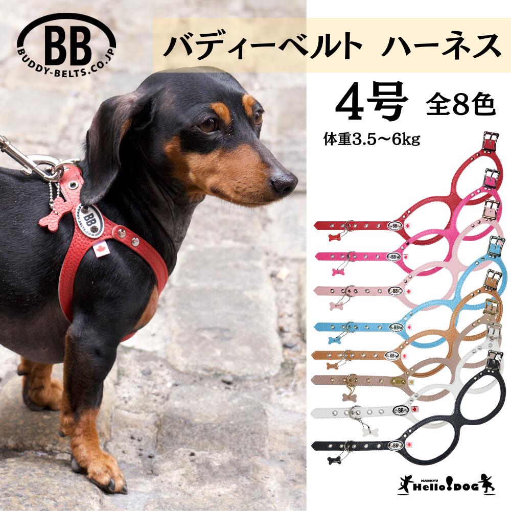 お買い得がゾクゾク！ハロードッグの百貨店SALE