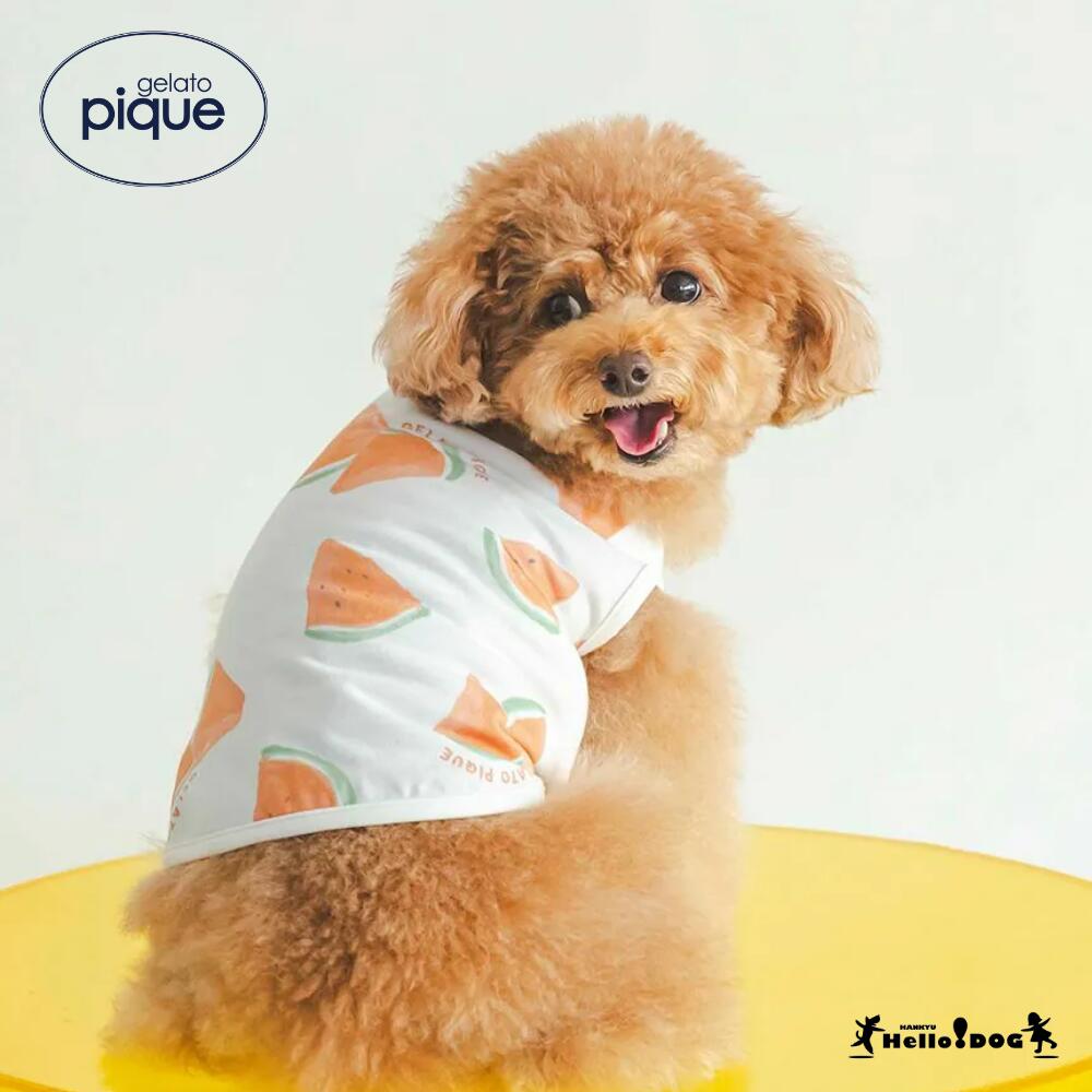 ジェラートピケ ハートアランハイネックプルオーバー　Mサイズ gelato pique - ジェラートピケ ハートアランハイネックプル