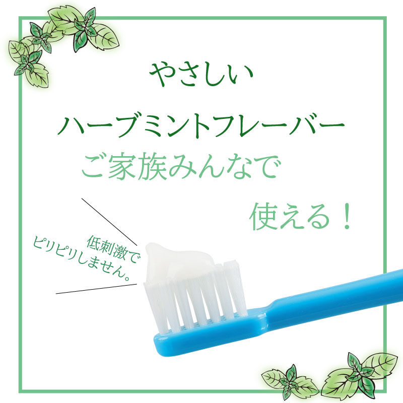 楽天市場 ペルデンティ 薬用ハミガキ 歯科専用 ホワイトニング フッ素配合 歯磨き粉 ポリリン酸ナトリウム キシリトール配合 85g 6本入 オススメの歯ブラシ ハノケア