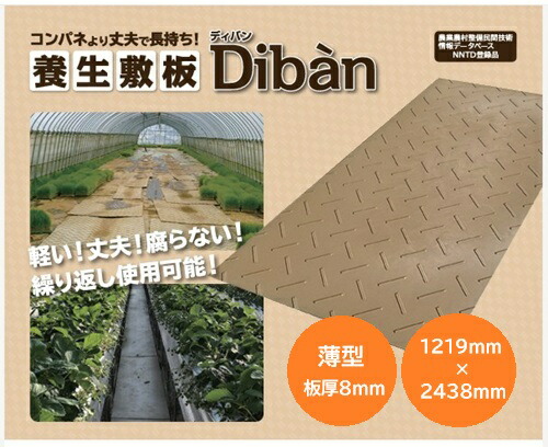 【直送品:個人宅不可】ウッドプラスチック 農業用敷板 Diban 片面凸 薄型 1219mm×2438mm カラー:ベージュ 養生敷板 ぬかるみ対策 軽量|ワイズファクトリー 店