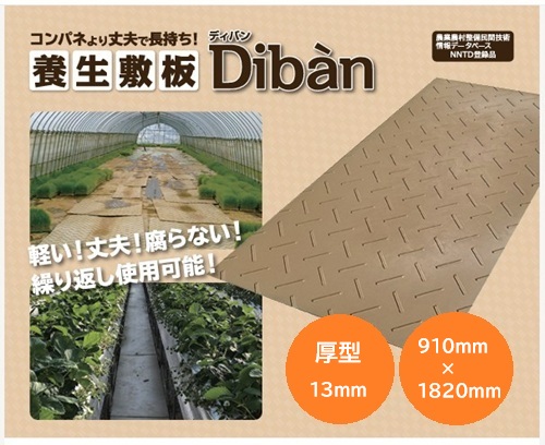 【直送品:個人宅不可】ウッドプラスチック 農業用敷板 Diban 片面凸 厚型 910mm×1820mm カラー:ベージュ 養生敷板 ぬかるみ対策 軽量|ワイズファクトリー 店