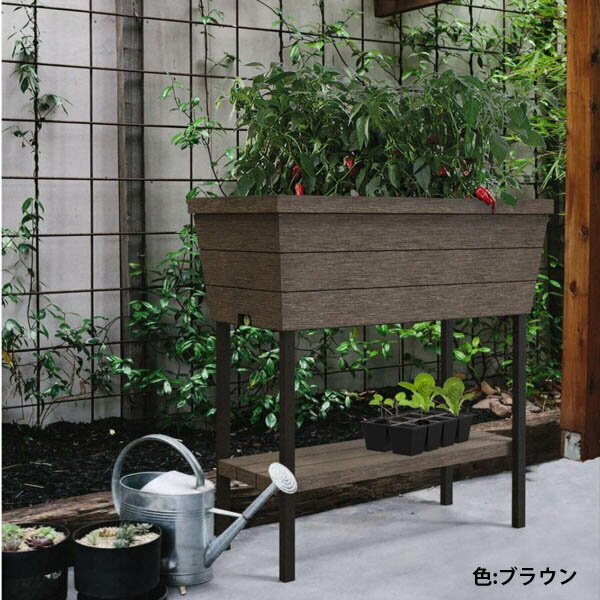 先行予約10月下旬頃入荷 Keter Urban Bloomr アーバンブルーマー スタンド植木鉢 高床式菜園プランター 野菜 ベジタブル ハーブ ベランダ バルコニー おしゃれ 室内 家庭菜園キット ケター Purplehouse Co Uk