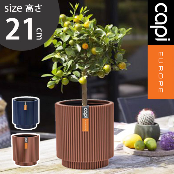楽天市場】植木鉢 capi カピ 軽量 樹脂製 鉢 6号 室内用 インテリア