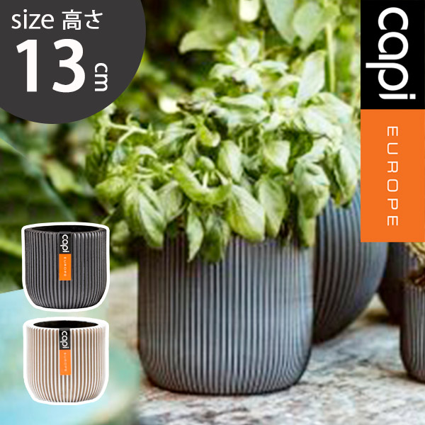 楽天市場】植木鉢 capi カピ 軽量 樹脂製 鉢 6号 室内用 インテリア