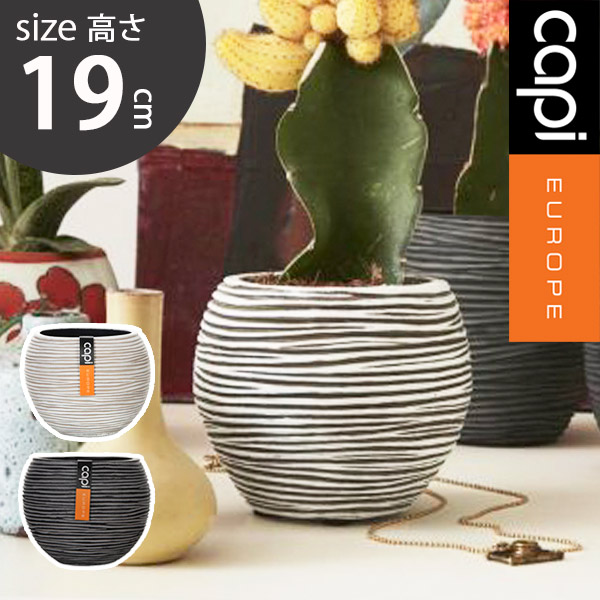 楽天市場】植木鉢 capi カピ 軽量 樹脂製 鉢 6号 室内用 インテリア