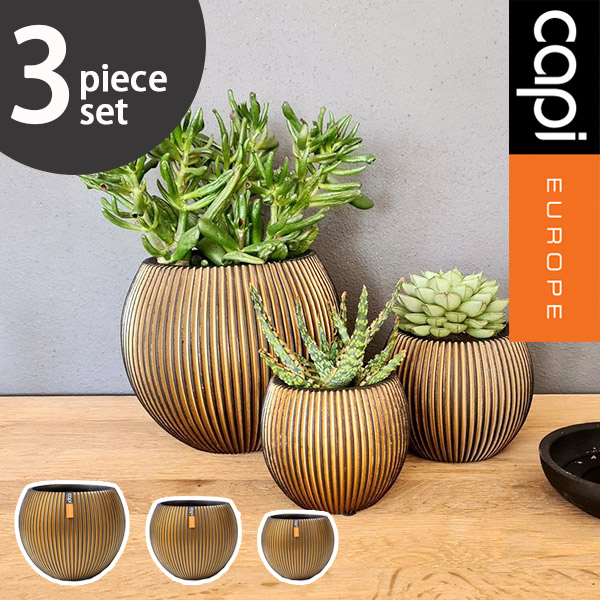 楽天市場】植木鉢 capi カピ 軽量 樹脂製 鉢 6号 室内用 インテリア