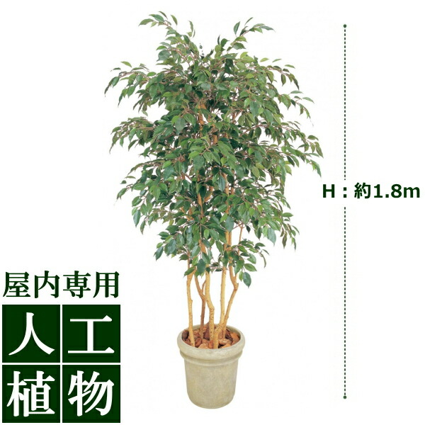 Hls Du 自然な色合い 表情が美しい人工植物 花 観葉植物 Depos デポス 美しい がずっと続く 造花 人工植物 グリーンデコ ベンジャミン 立木 5本立 1 8m 送料無料 Rcp 05p03sep16