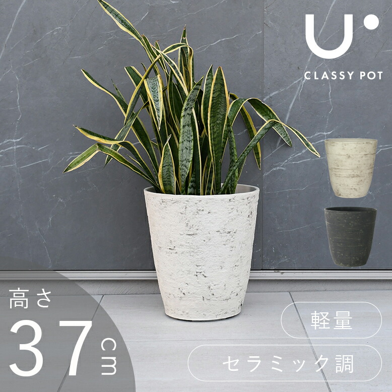 【高級感】 鉢カバー コンクリート調 軽量1.9㎏ 大型【ポリポット付】 楽天市場】先行予約11月上旬入荷予定 植木鉢 大型植木鉢 軽量 11