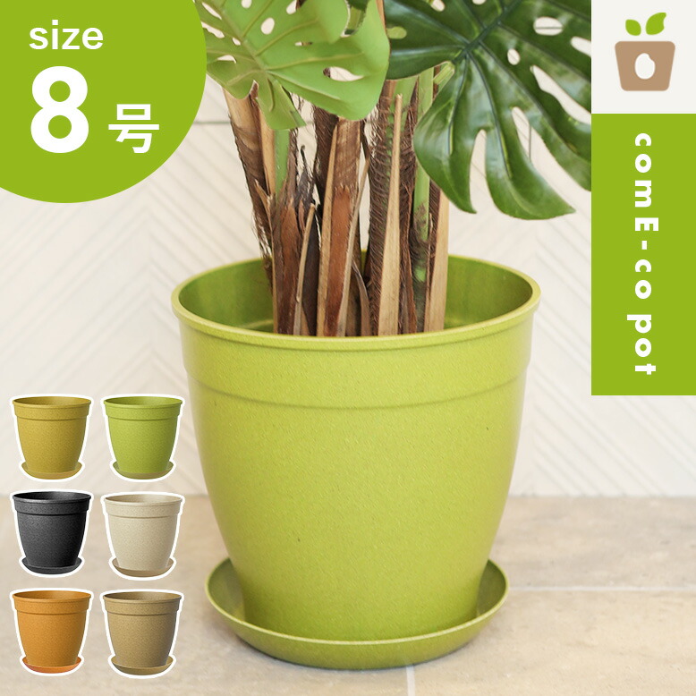 楽天市場】植木鉢 24cm 2個セット おしゃれ かわいい プランター