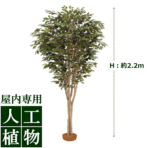 置くだけで整う、プランタースタンド特集