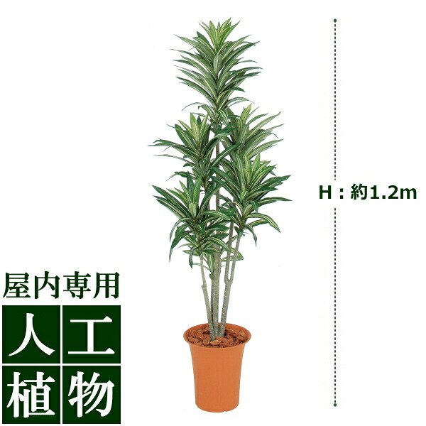 /人工植物/グリーンデコ ドラセナ 1.2m|DEPOS 2号館