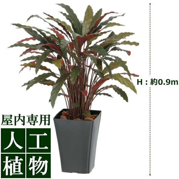 /人工植物/グリーンデコ　カラテアR　レッド　0.9m/送料無料｜DEPOS　2号館
