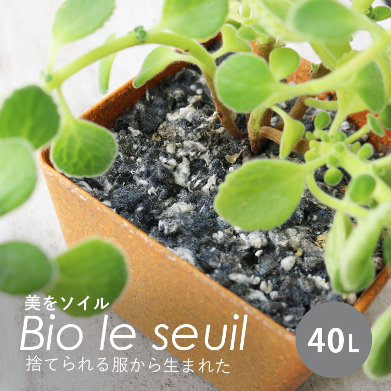 観葉植物 土 美をソイル Bio Le Seuil 40l メーカー直送 代金引換 同梱不可 室内 屋上緑化 保水 保湿 排水 軽い 軽量 庭 ガーデン 多肉 ハーブ インテリア ホテル テラス レストラン カフェ チャペル 腐らない 汚れない エコ Sdgs サステナブル Hnw1 観葉植物 土 美をソイル Bio Le Seuil 40l メーカー直送 代金引換 同梱不可 室内 屋上緑化 保水 保湿 排水 軽い 軽量 庭 ガーデン 多肉 ハーブ インテリア ホテル テラス レストラン カフェ チャペル 腐らない 汚れない エコ Sdgs サステナブル Hnw1