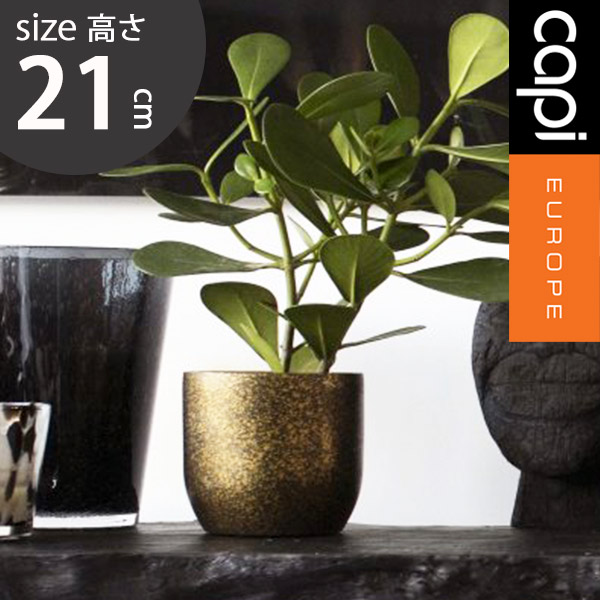 植木鉢 楽天市場】植木鉢 capi カピ 軽量 樹脂製 鉢 4号 室内用