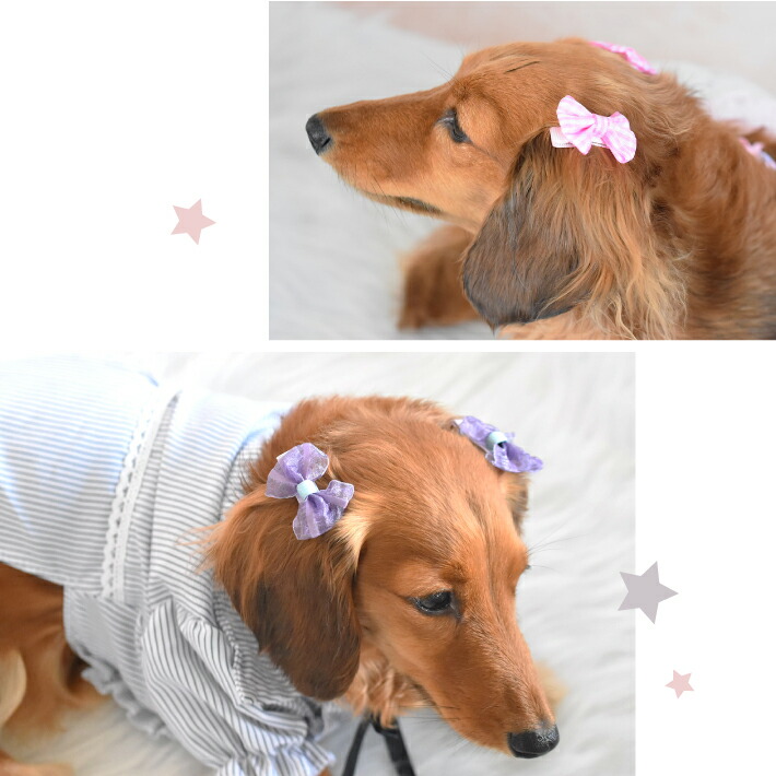 市場 犬 ヘアピン リボン ヘアアクセサリー