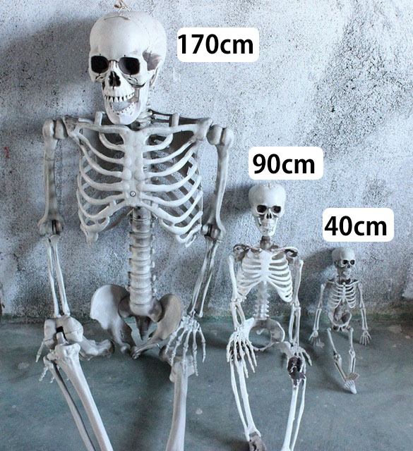 楽天市場】【送料無料】ハロウィン スケルトン パンクロッカー