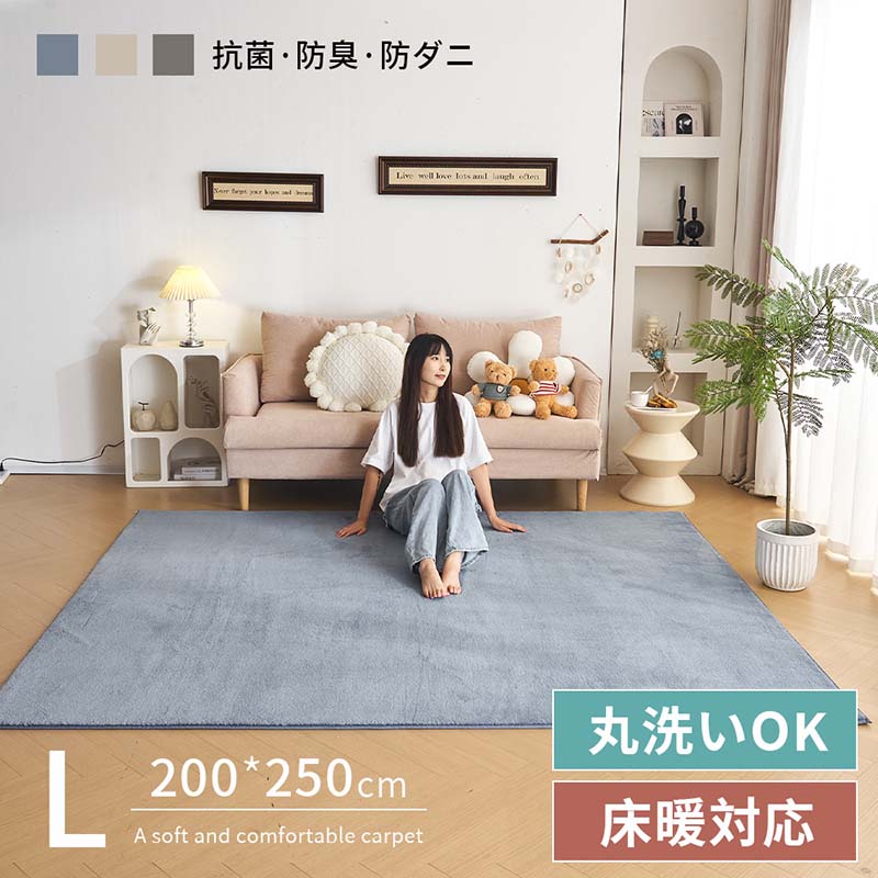 ラグ カシミヤ 洗える 北欧 ダウンリンク 200&times;250cm 超高密度織 約225万本/m2 カーペット 滑り止め ふかふか 洗える 角型 絨毯 床暖房 ホットカーペット おしゃれ 防カビ 防ダニ オールシーズン｜ハピカムTOKYO