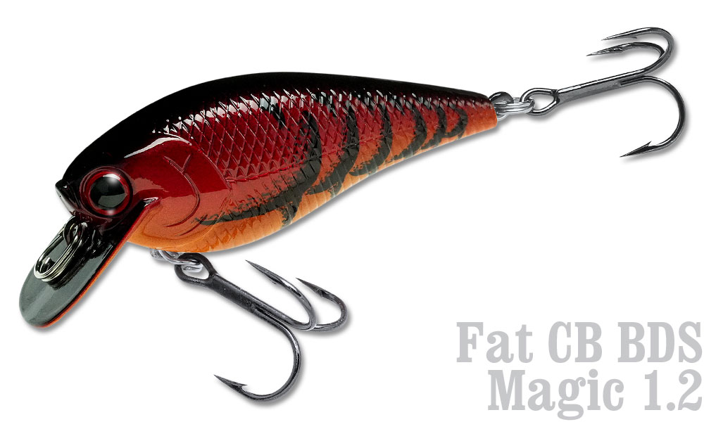 fatcbbdsm1-2-505.jpg