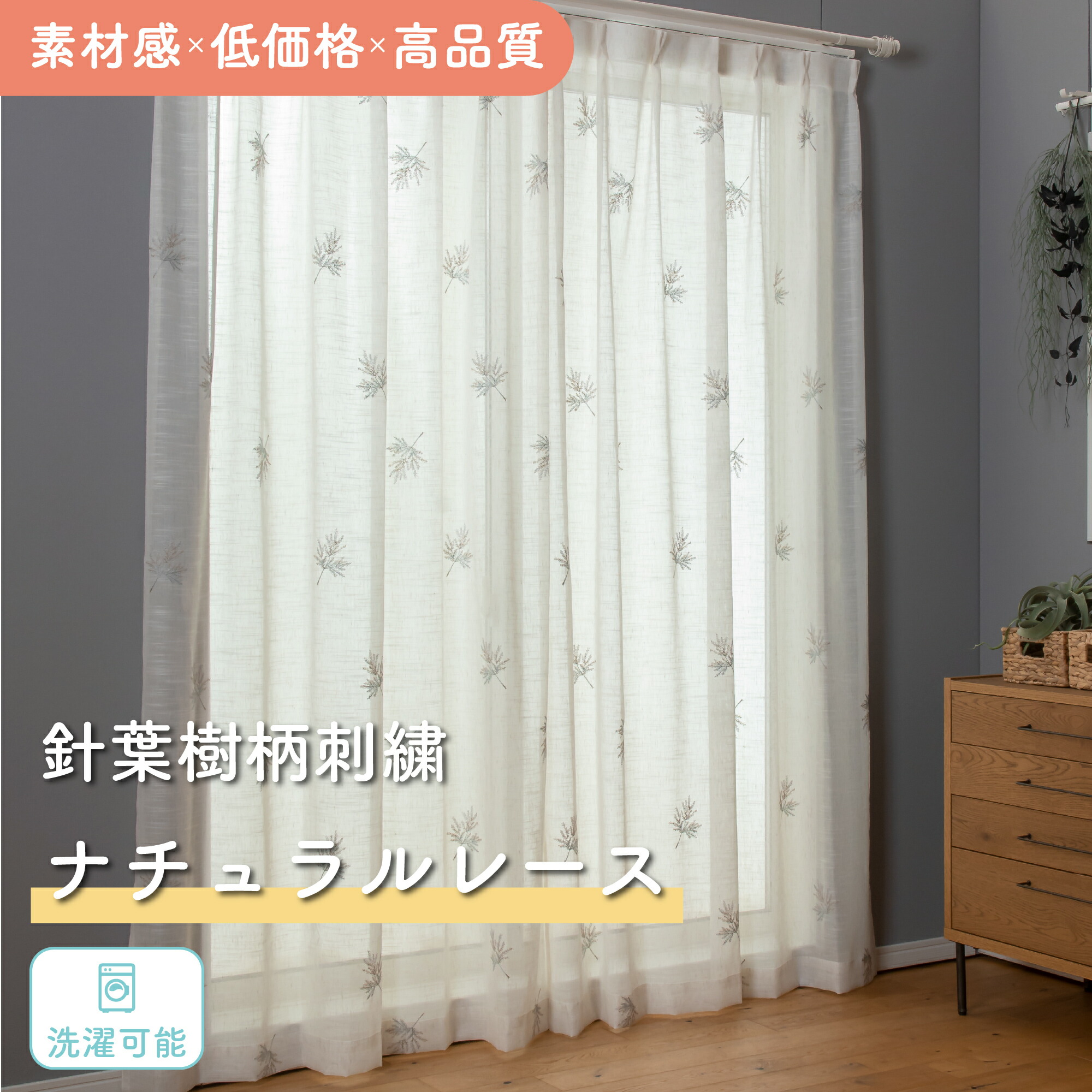 出どころ標本始めました