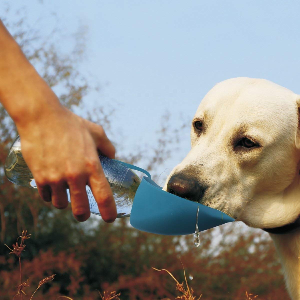楽天市場 ペット用 犬 散歩 給水ボトル 携帯用 給水 水筒 ウォーターボトル 水入れ 水飲み スクイーズタイプ 580ml ハピポート 楽天市場店