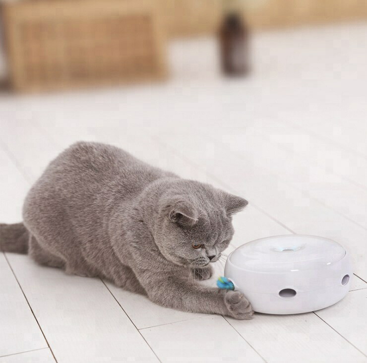 楽天市場 猫 おもちゃ スマート キャット トイ 電動 猫じゃらし ねこじゃらし 羽根 交換用羽根つき 光る Led ねこ ネコ 運動不足 室内遊び ストレス解消 一人遊び ハピポート 楽天市場店