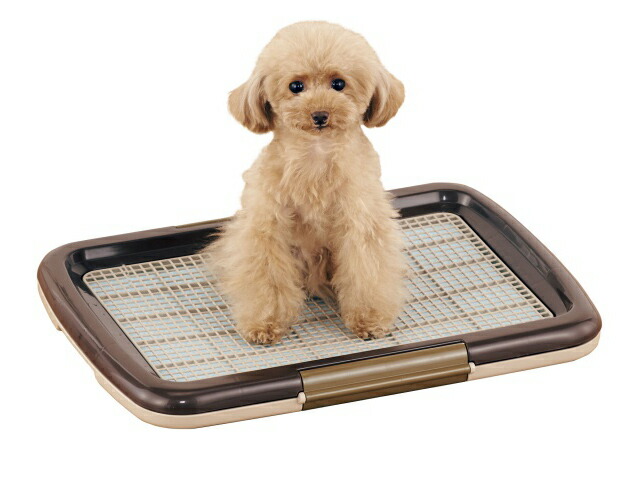 推奨 ボンビアルコン しつけるトレーメッシュプラス S レギュラー 犬 トイレトレー トイレ 超小型 小型犬 トイレトレーニング しつけ 躾 トイトレ アイボリー Qdtek Vn