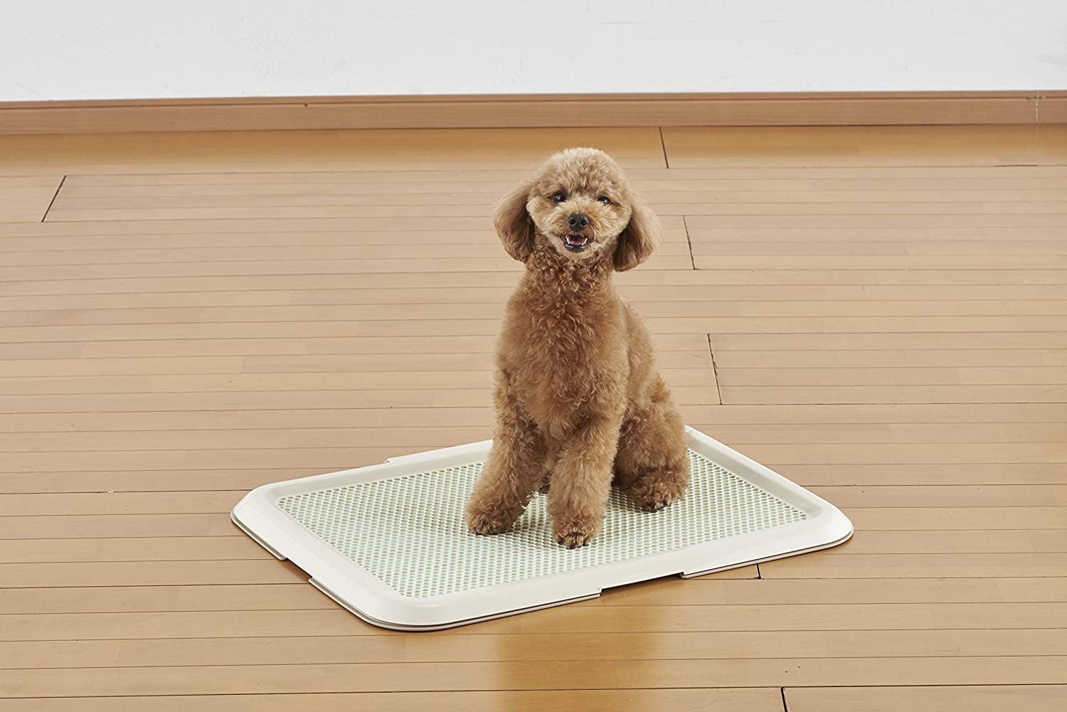 楽天市場 ボンビアルコン 薄型しつけるトレー M ワイド 犬 トイレトレー トイレ 抗菌 小型犬 中型犬 トイレトレーニング トイレ しつけ 躾 トイトレ アイボリー ハピポート 楽天市場店