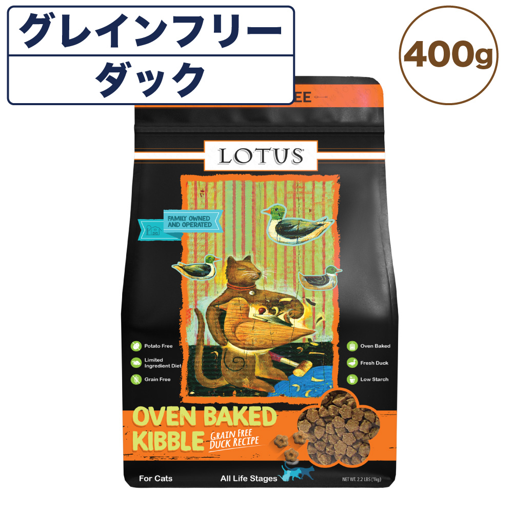 楽天市場】【訳あり】【賞味期限間近】【賞味期限23年9月】フォルツァ