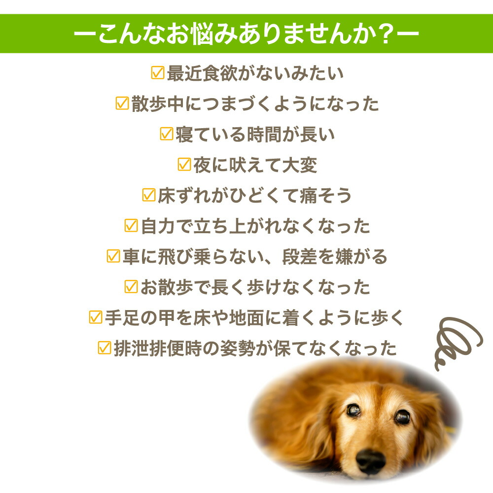 激安超特価 犬潤 1kg 犬 猫 ペット サプリメント コラーゲン ペプチド 天然 低分子 皮膚 被毛 関節 軟骨 無香料 保存料不使用 徳用 国産  いぬじゅん www.dexion.com.au