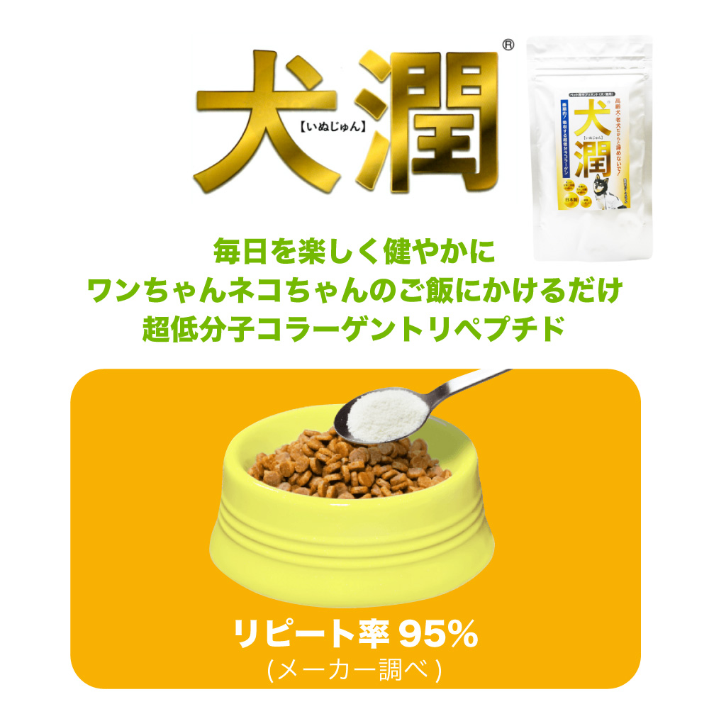 初売り 犬潤 1kg 犬 猫 ペット サプリメント コラーゲン ペプチド 天然 低分子 皮膚 被毛 関節 軟骨 無香料 保存料不使用 徳用 国産  いぬじゅん fucoa.cl