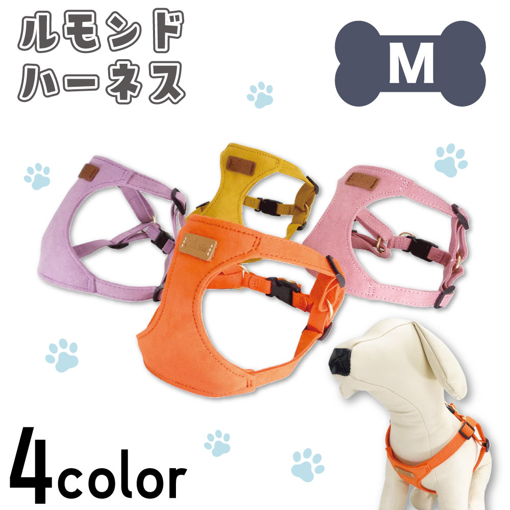 dog-00192-yellow_1.jpg