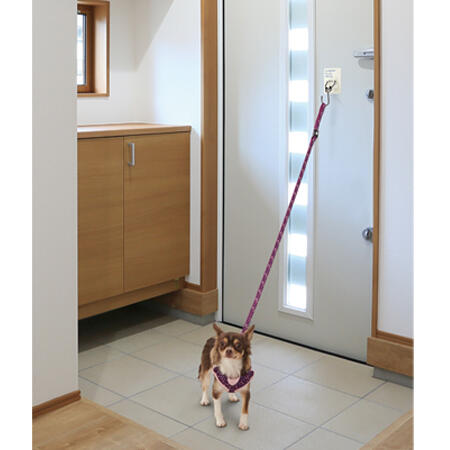 クリタック ちょっと待ってて ワンちゃんフック カジュアル 1個入 犬 室内用 リード掛け 犬用 フック 玄関 壁に貼る 超小型犬用 お散歩 便利グッズ ペット Loeschenart Com