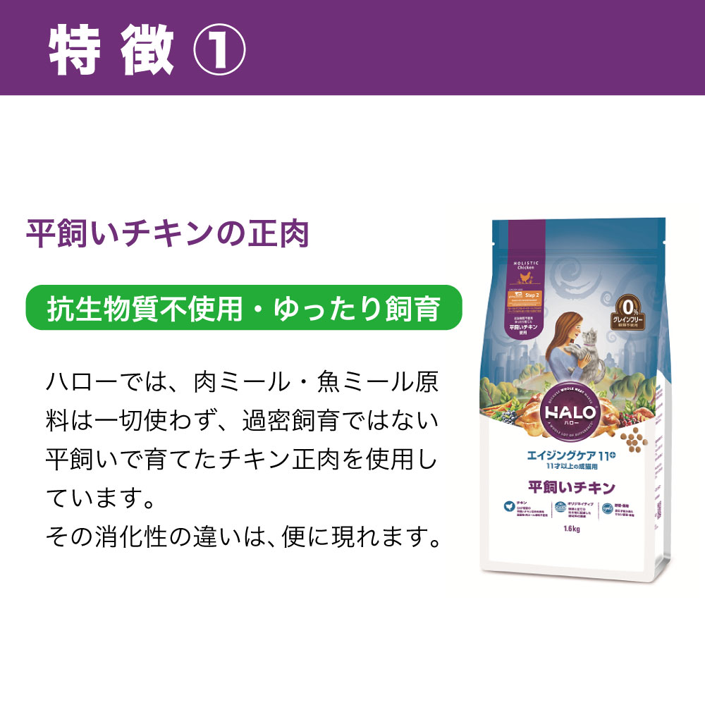 ハロー エイジングケア 11 11才以上の成猫用 平飼いチキン 1 6kg 猫 キャットフード 猫用 フード ドライ シニア グレインフリー アレルギー 穀物不使用 Rvcconst Com