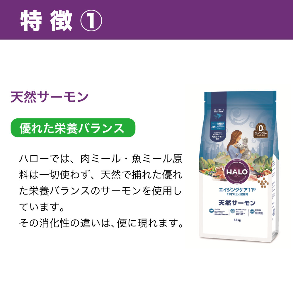 ハロー エイジングケア 11 11才以上の成猫用 天然サーモン 1 6kg 猫 キャットフード 猫用 フード ドライ シニア グレインフリー アレルギー 穀物不使用 Rvcconst Com