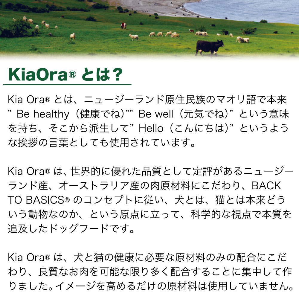 キアオラ キャットフード カンガルー 2.7kg 猫 フード ドライ グレイン 