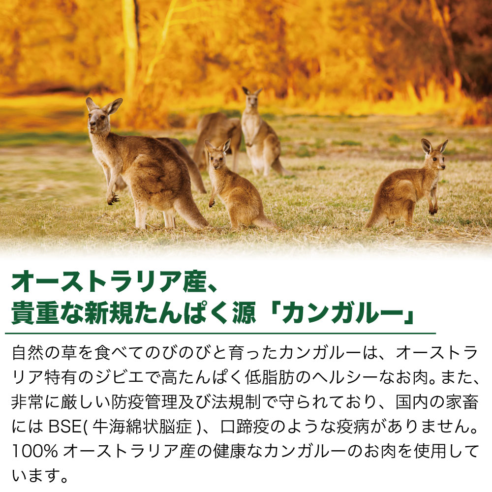 キアオラ キャットフード カンガルー 2.7kg 猫 フード ドライ グレイン 