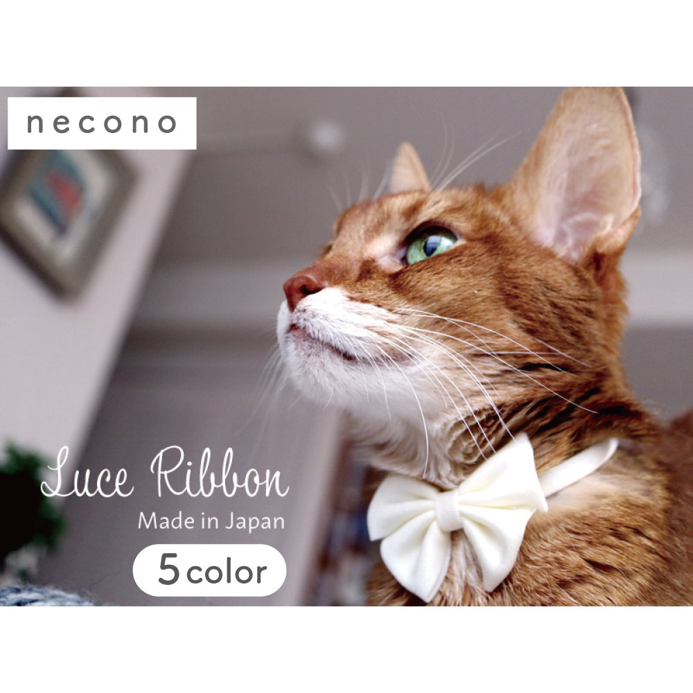 楽天市場】necono ルーチェ リボン ダブル 猫 首輪 ニット 猫用