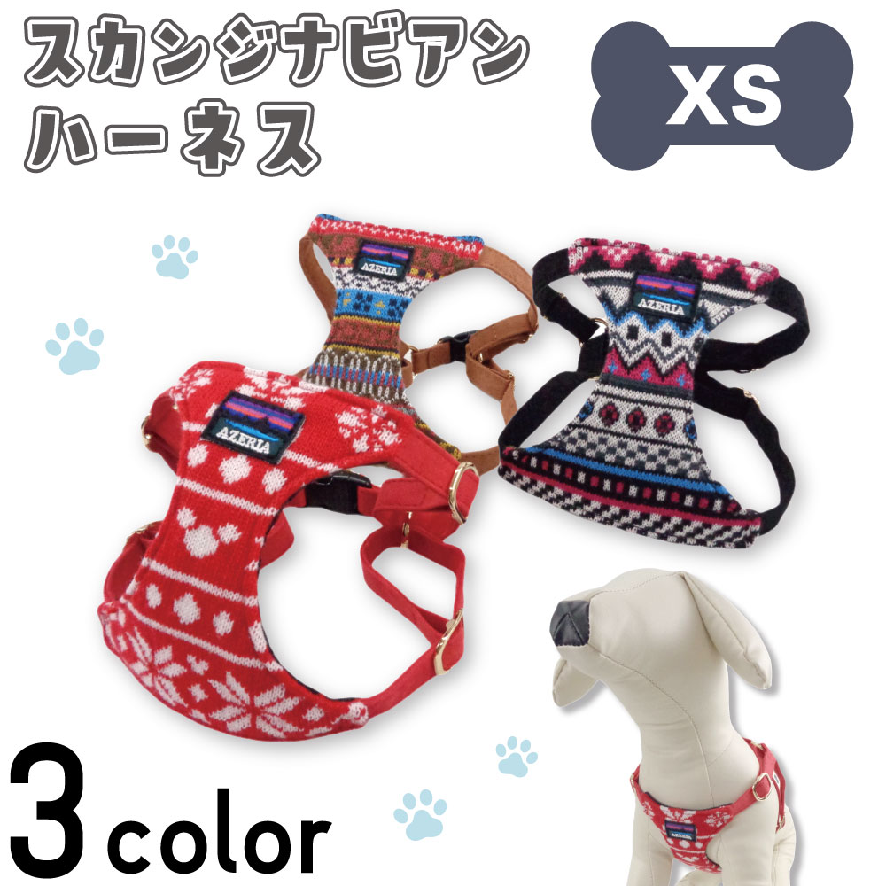 dog-00147-orange_1.jpg dog-00147-orange_1.jpg